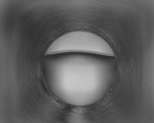 X0000084550079200702230946