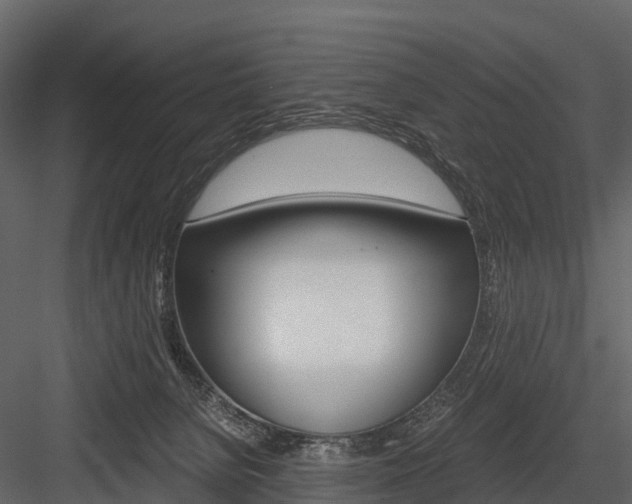 X0000084550080200702230946
