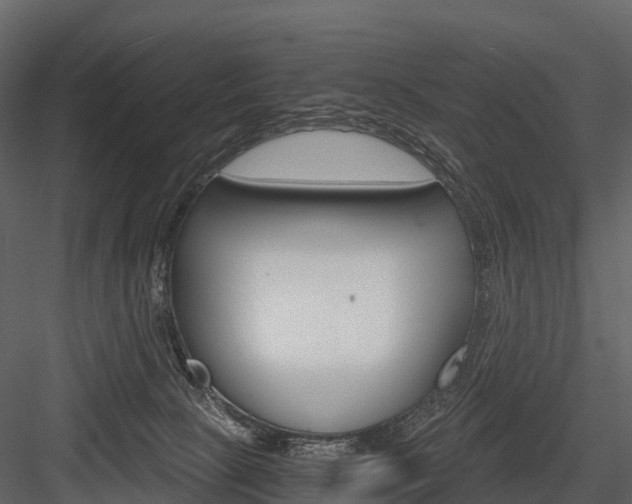 X0000084550081200702230946