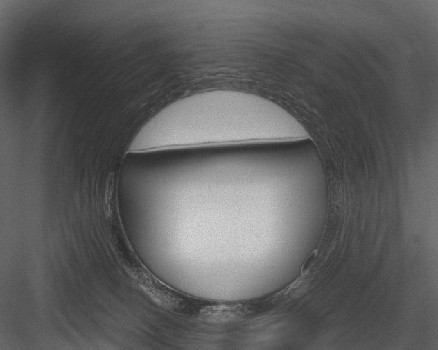 X0000084550082200702230946