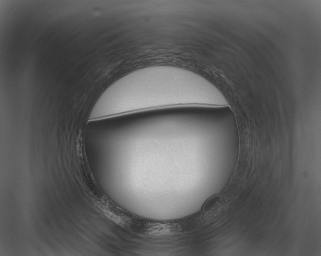 X0000084550083200702230946