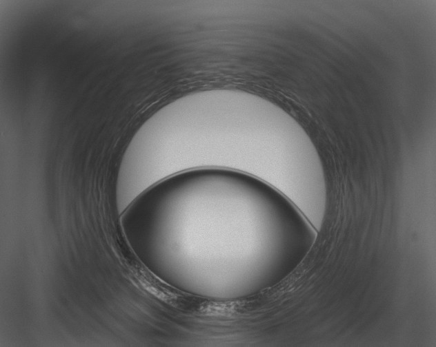 X0000084550084200702230946