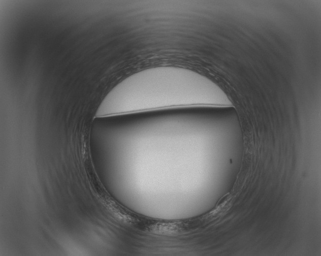 X0000084550086200702230946