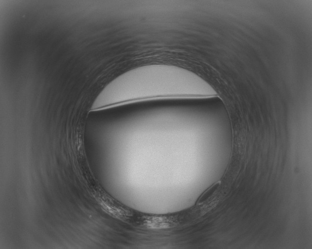 X0000084550091200702230946