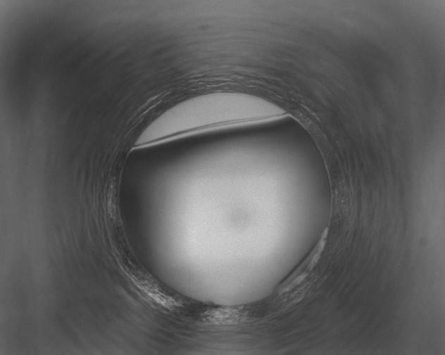 X0000084550092200702230946