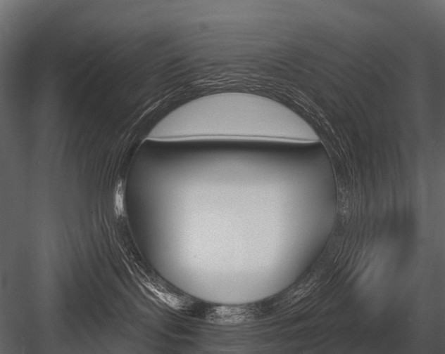 X0000084550095200702230946