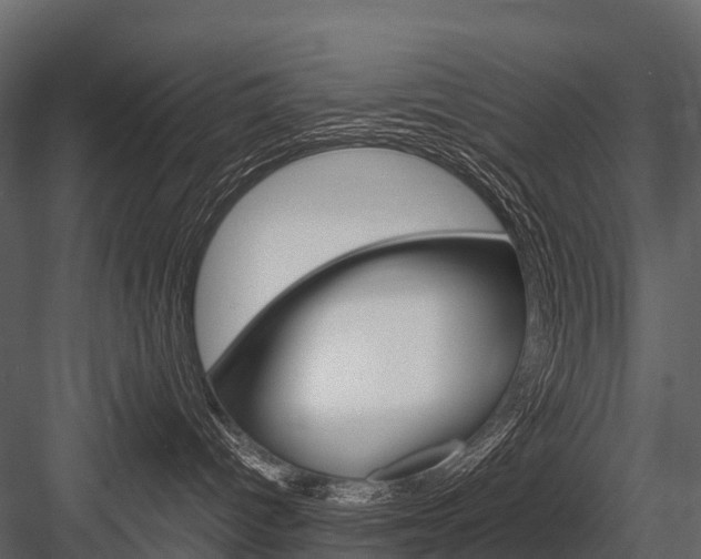 X0000084550096200702230946