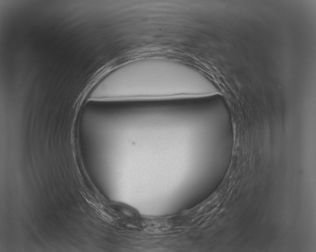 X0000084550099200702230946