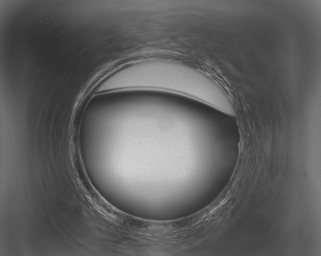 X0000084550101200702230946