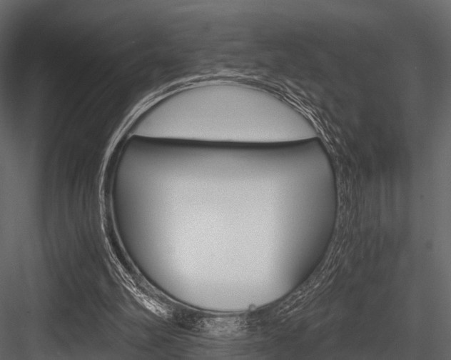 X0000084550102200702230945