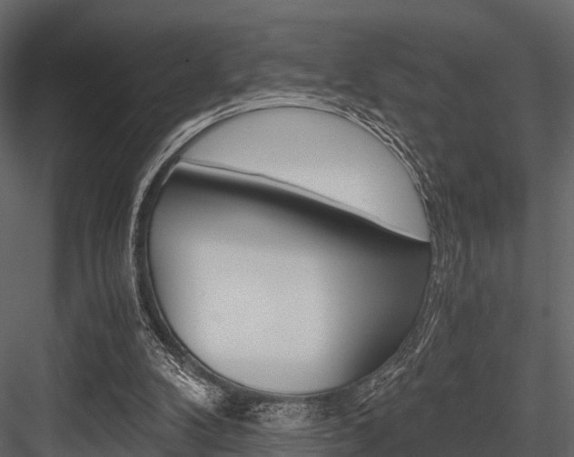 X0000084550104200702230945