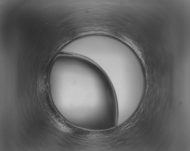 X0000084550105200702230945