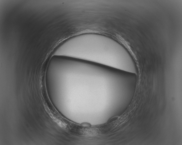 X0000084550106200702230945