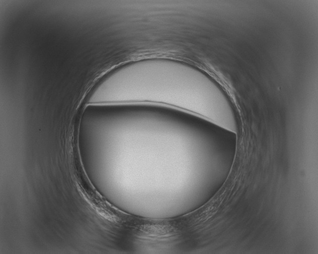 X0000084550107200702230945
