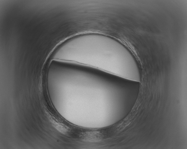 X0000084550108200702230945