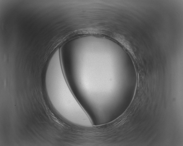 X0000084550109200702230945