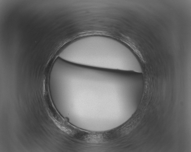X0000084550110200702230945
