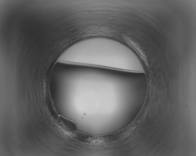 X0000084550113200702230945