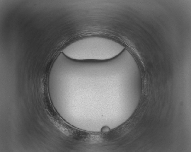 X0000084550114200702230945