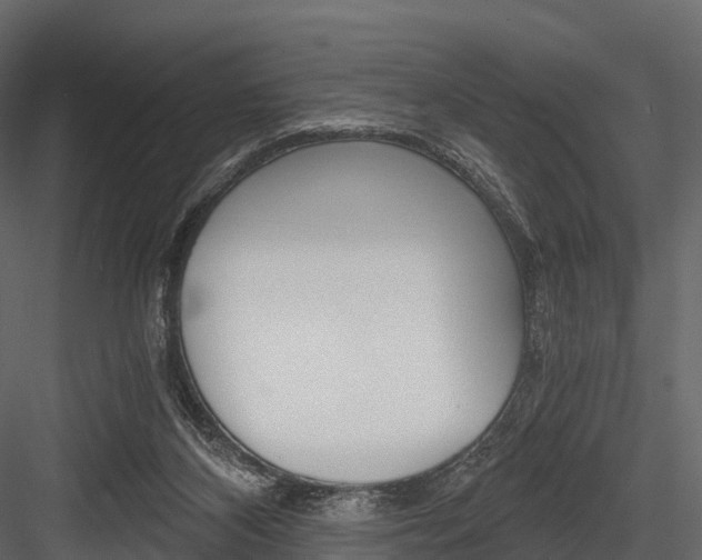 X0000084550116200702230945