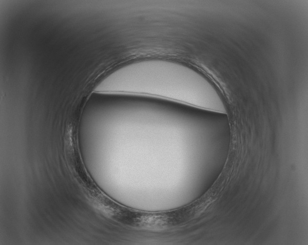 X0000084550117200702230945