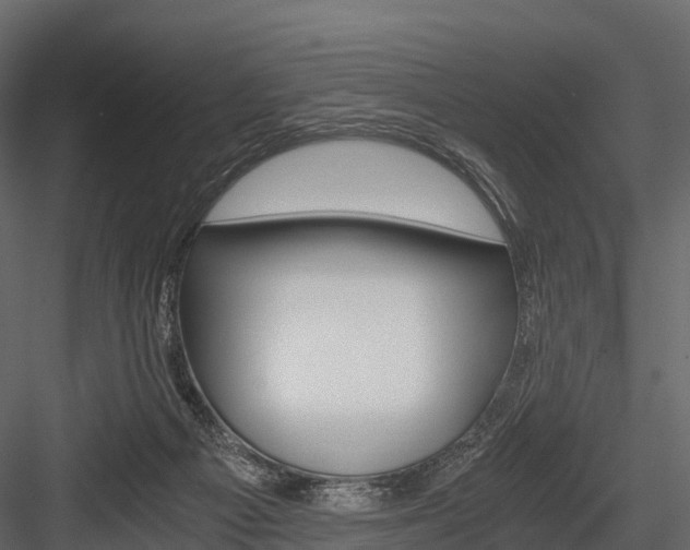 X0000084550121200702230945