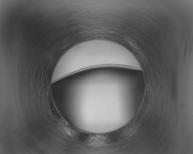 X0000084550125200702230945