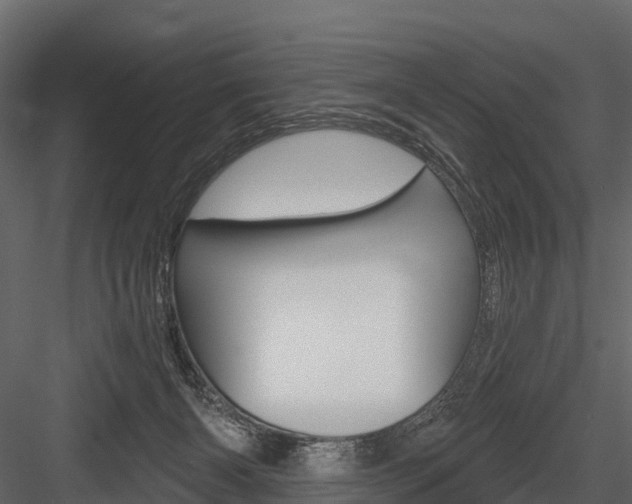 X0000084550126200702230945
