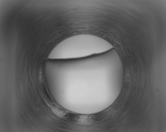 X0000084550130200702230945