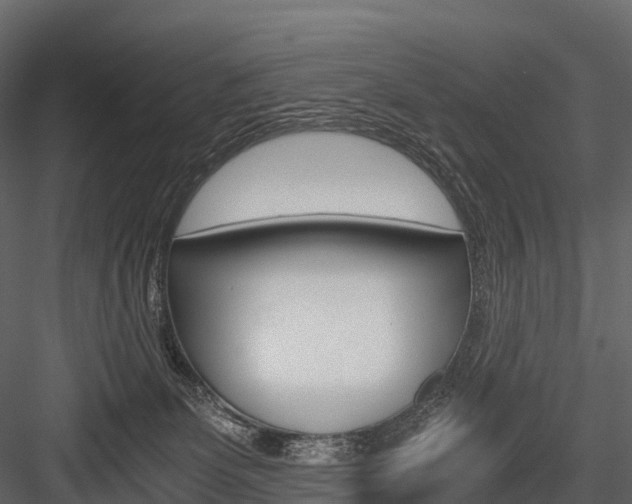 X0000084550131200702230945
