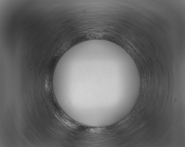 X0000084550134200702230945