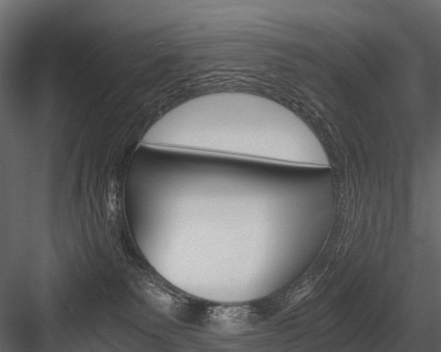 X0000084550135200702230945