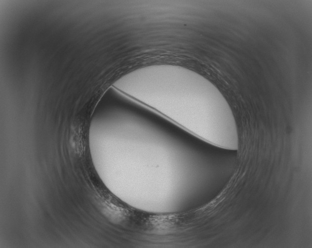 X0000084550136200702230945