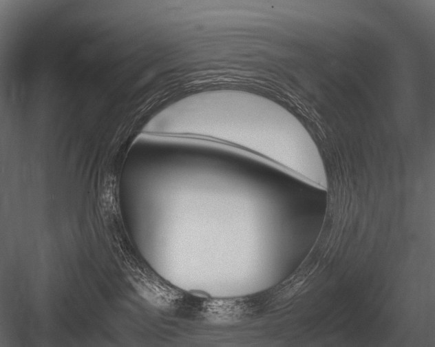 X0000084550141200702230945