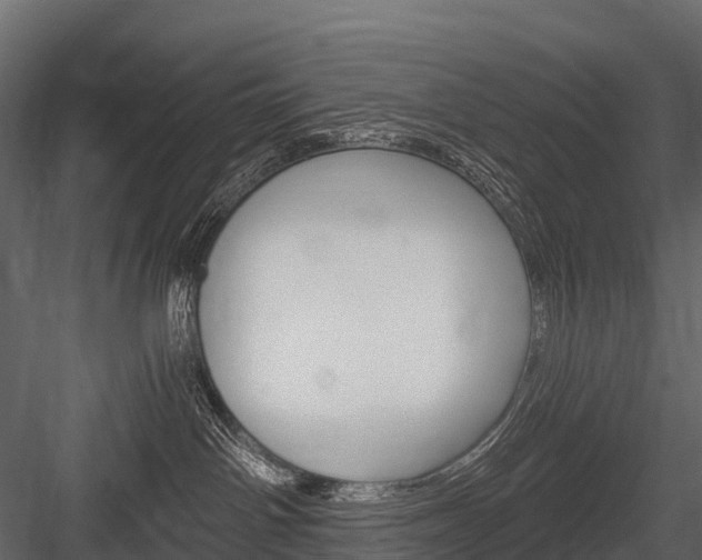 X0000084550142200702230945