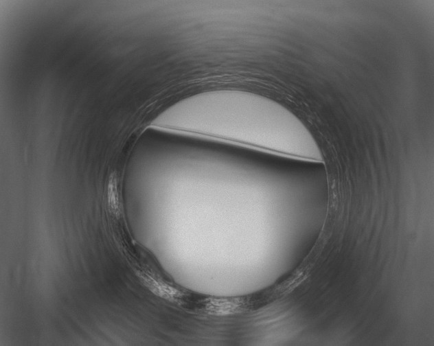 X0000084550143200702230945