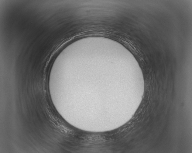 X0000084550146200702230944