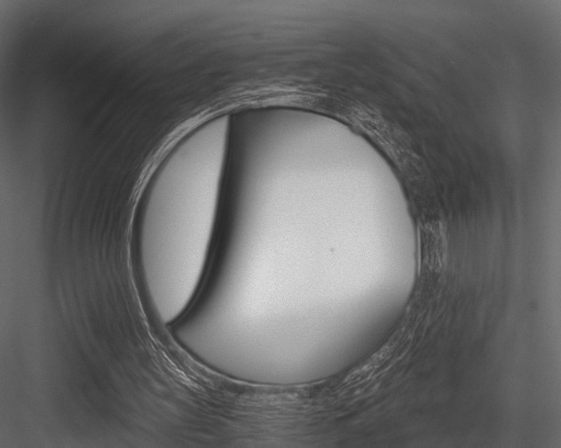 X0000084550147200702230944