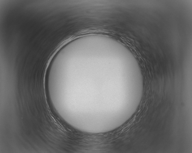 X0000084550148200702230944