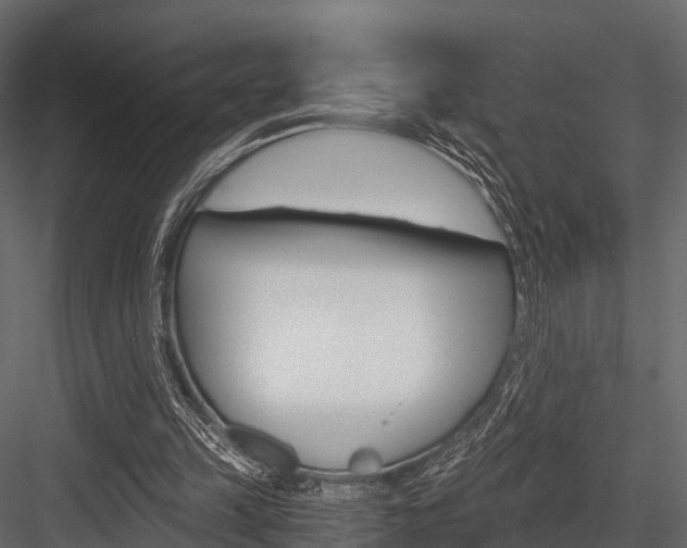 X0000084550149200702230944