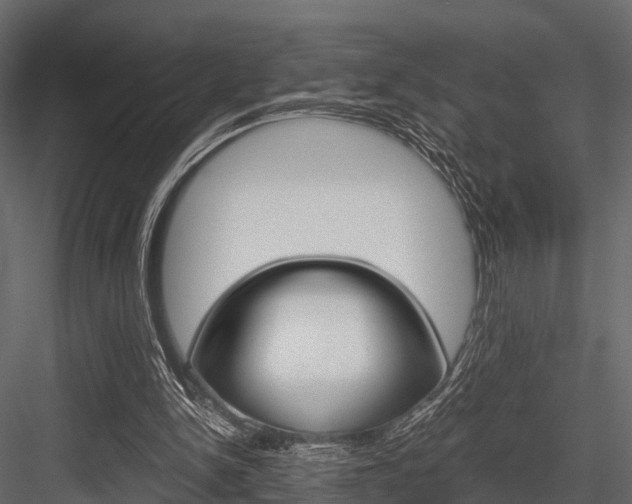 X0000084550150200702230944