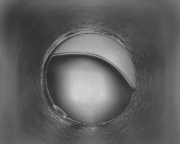 X0000084550152200702230944