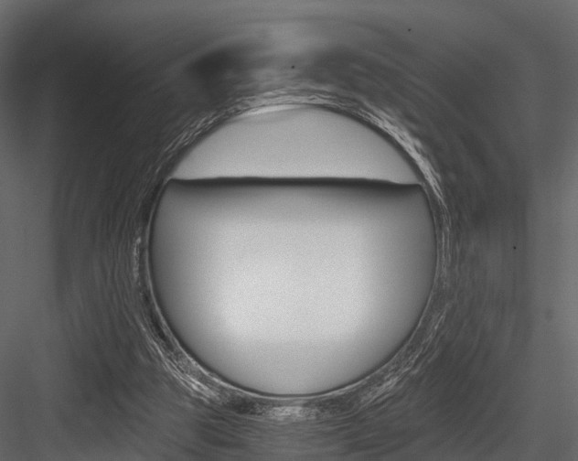 X0000084550153200702230944