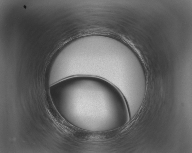 X0000084550154200702230944