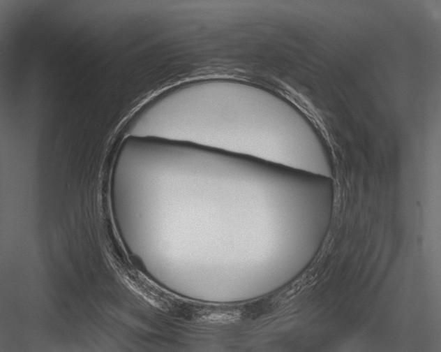 X0000084550155200702230944