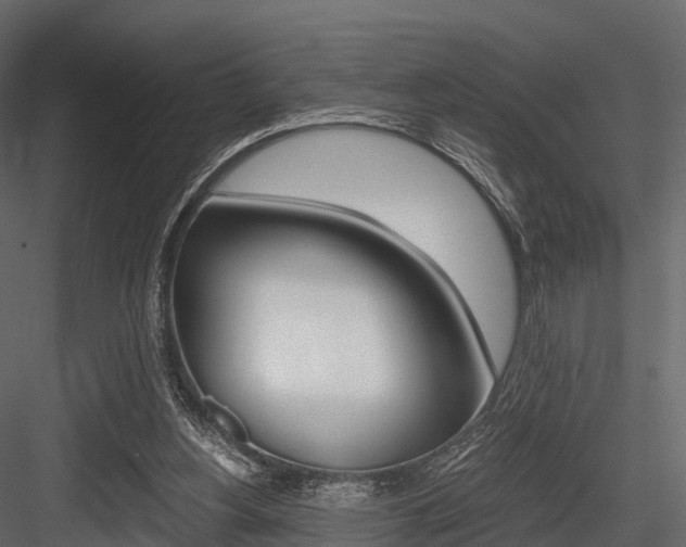 X0000084550156200702230944