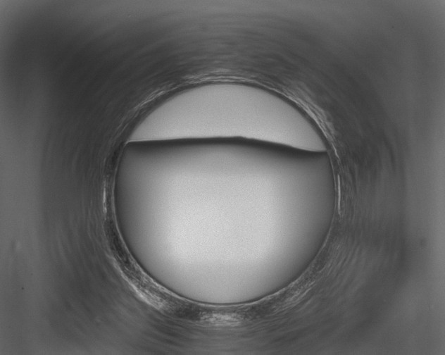 X0000084550157200702230944