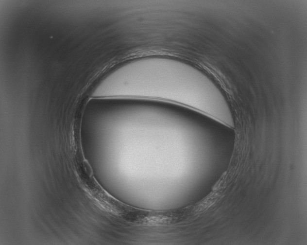 X0000084550158200702230944