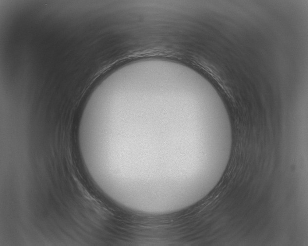 X0000084550164200702230944