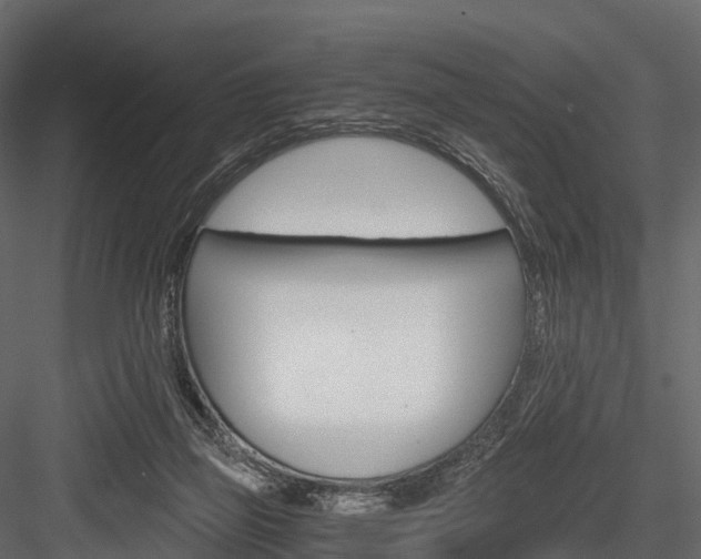 X0000084550165200702230944